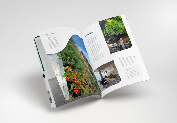 樹立品牌形象，vi品牌形象，品牌形象定位，品牌形象案例，