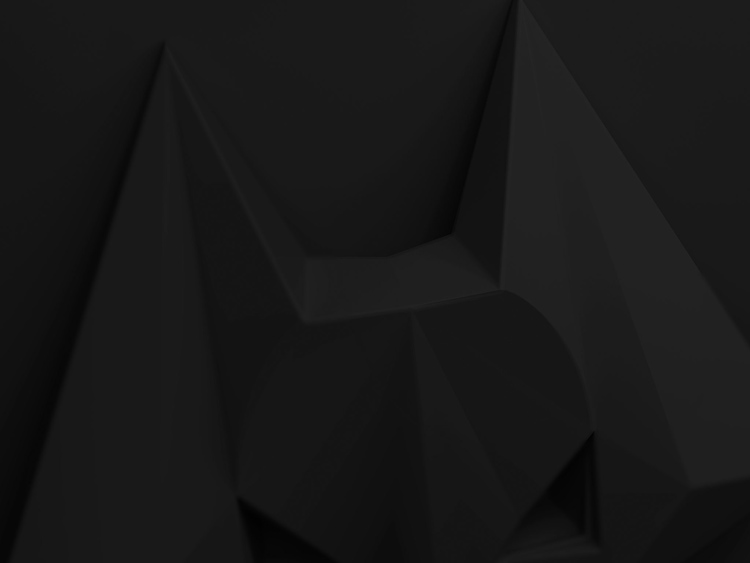 Wolves足球俱樂部品牌標志vi設計