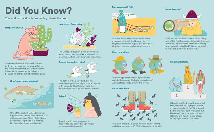 自然歷史博物館中的兒童活動IP動漫形象設(shè)計