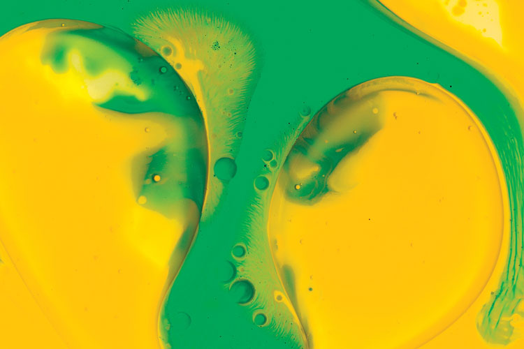 聯(lián)邦啤酒產(chǎn)品包裝設(shè)計，絢麗多彩